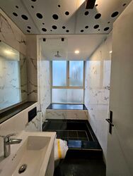 DLV (D10), Apartment #488741911